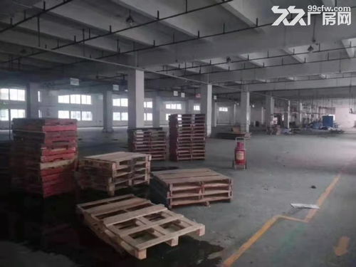 鳳崗廣源獨院廠房 三萬平米理想空間，賦能物流倉儲與電商糧油中轉